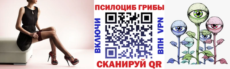 нарко площадка официальный сайт  OMG сайт  Луза  Псилоцибиновые грибы Cubensis 